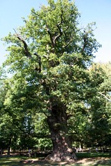 Killikus&reg; Fotographie